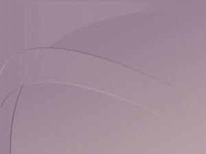 电商平台商家物流选择策略